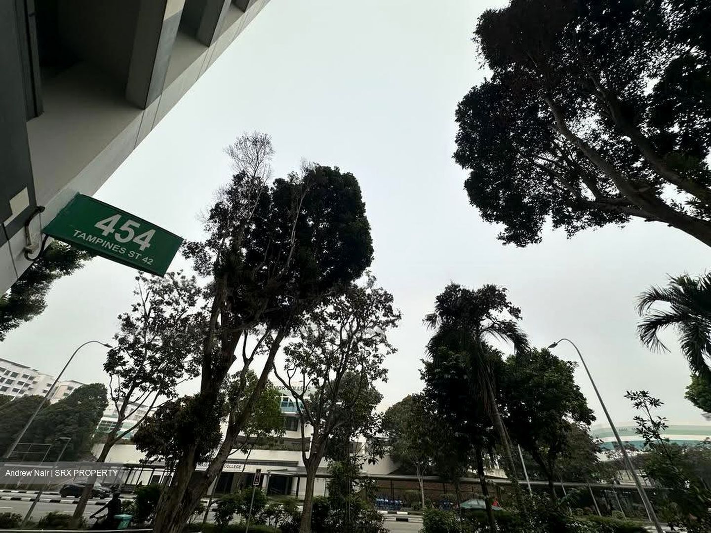 Tampines Street 42 (Tampines), Multi Generation #633661961